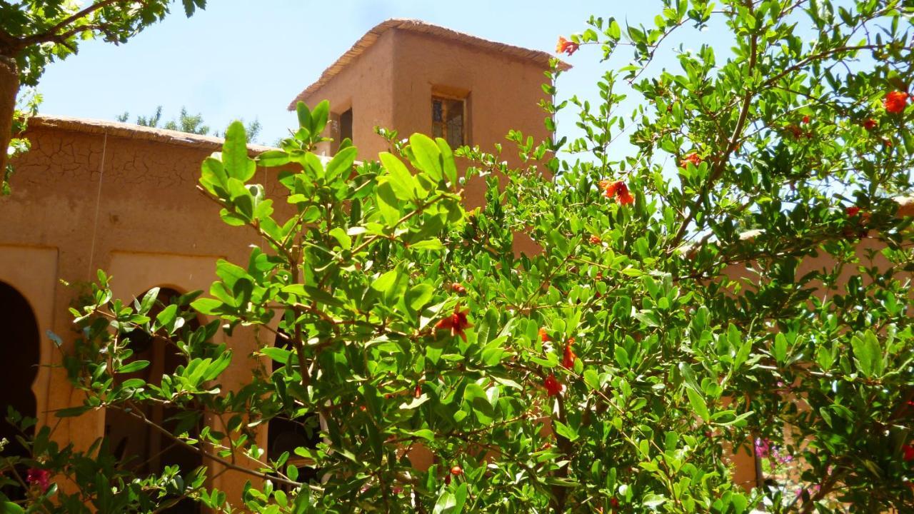 Kasbah Ait Moussa Hotel Kelaat-M'Gouna ภายนอก รูปภาพ